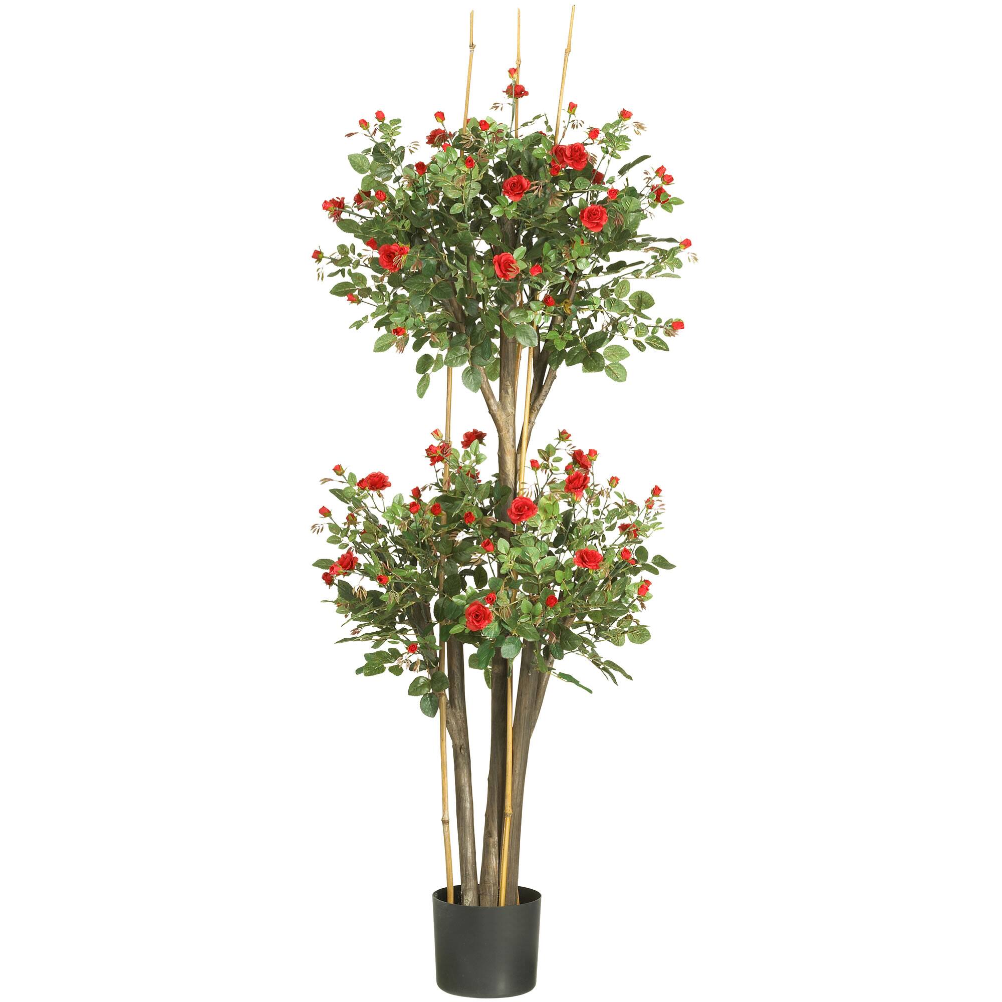 5ft. Potted Mini Rose Tree